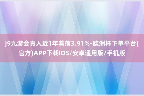 j9九游会真人近1年着落3.91%-欧洲杯下单平台(官方)APP下载IOS/安卓通用版/手机版