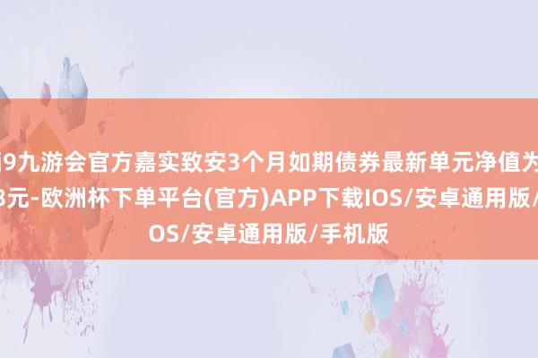 j9九游会官方嘉实致安3个月如期债券最新单元净值为1.1938元-欧洲杯下单平台(官方)APP下载IOS/安卓通用版/手机版