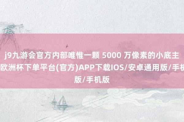 j9九游会官方内部唯惟一颗 5000 万像素的小底主摄-欧洲杯下单平台(官方)APP下载IOS/安卓通用版/手机版