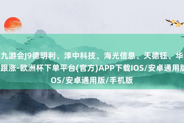 九游会J9德明利、淳中科技、海光信息、天德钰、华懋科技等跟涨-欧洲杯下单平台(官方)APP下载IOS/安卓通用版/手机版